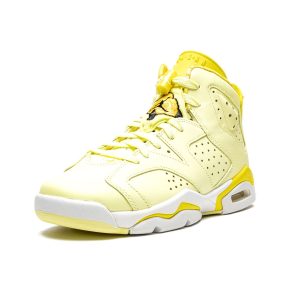 Jordan 6, Air Jordan 6 Retro GG 'Citron Tint'