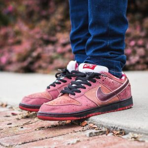 Nike Dunk Trainers, Nike SB Skate Shoes, Nike Dunk Low Premium SB 'Lobster'