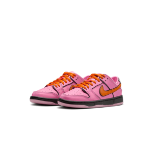 Nike Dunk Trainers, Nike SB Skate Shoes, Nike Dunk Low SB x The Powerpuff Girls PS 'Blossom'