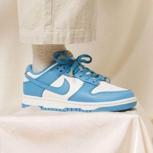 Nike Dunk Trainers, Nike Dunk Wmns Low 'Coast'